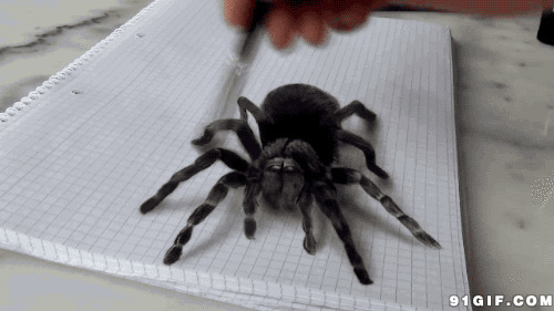 素描3D蜘蛛图片