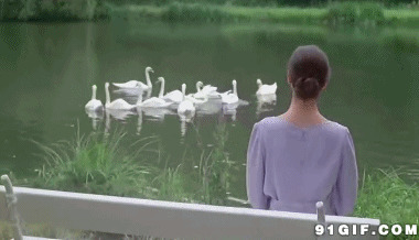湖边看天鹅戏水的女子图片:鹅