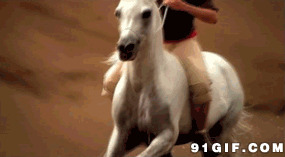 沙漠骑白色骏马图片:沙漠,骑白色,骏马