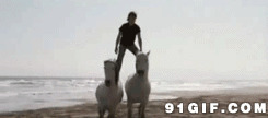 牛人站在马背上图片:牛人,站在,马背上