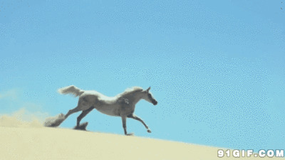 沙漠中狂奔的野马图片