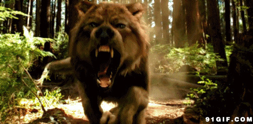 山林中的恶狼图片:山林中,恶狼