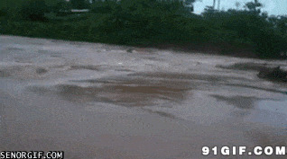 卡车洪水侧翻图片:卡车,洪水,侧翻