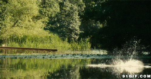 湖中跳水图片:跳水
