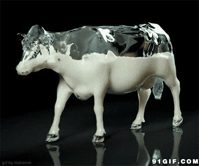 装满奶的奶牛图片:牛