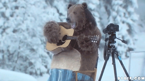 小狗熊雪地弹吉他图片:狗熊