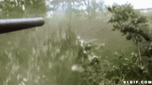 大炮沿途轰炸开路图片:大炮,人物