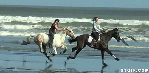驾驶骏马飞奔在海边图片:马