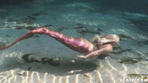 美人鱼海底游泳图片:美人鱼