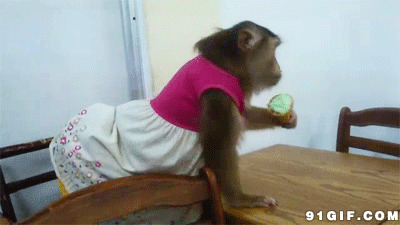 猴子穿衣服吃雪糕图片:猴子