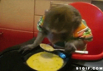 猴子喝粥动态图片