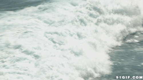 大海卷起的浪涛动态图片:大海