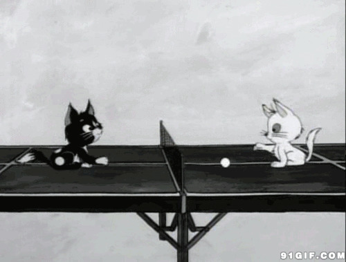 卡通猫猫玩乒乓球图片