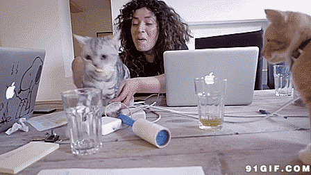 猫猫喝水恶搞动态图片