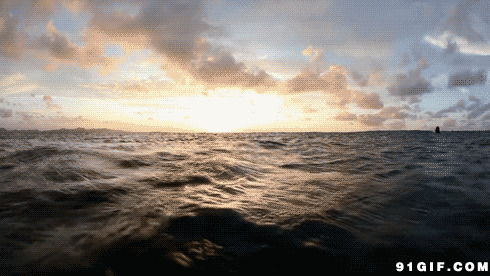 海面波涛汹涌动态图片:大海
