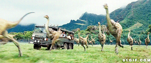 奔跑的恐龙群动态图片