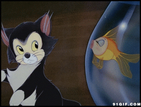 卡通猫猫舔鱼缸动态图片