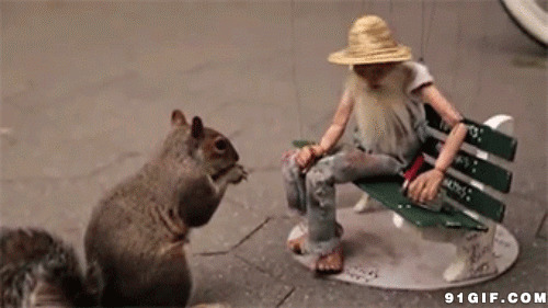 木偶人给松鼠喂食图片:松鼠,动物
