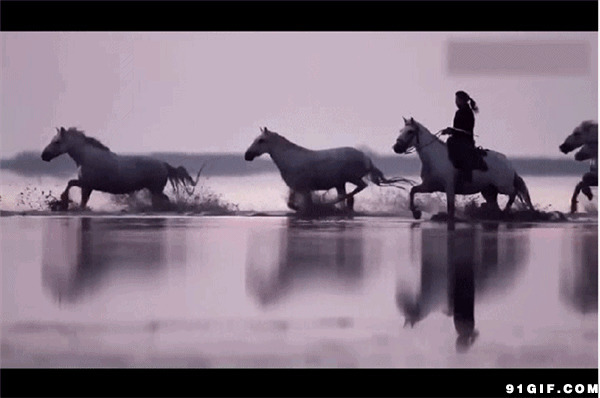 骑马过水滩图片:骑马,马