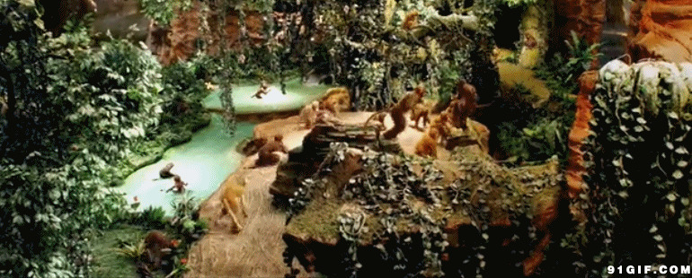 花果山猴子动态图片:花果山,猴子