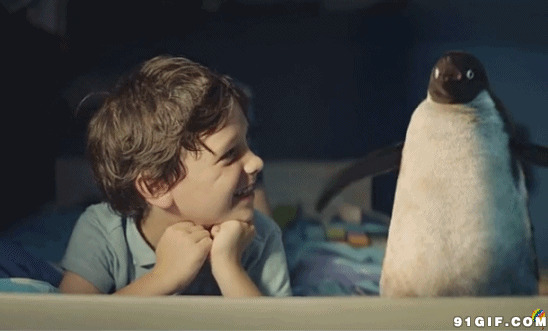 可爱小男孩与小企鹅图片:企鹅