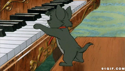 卡通小黑猫弹钢琴图片