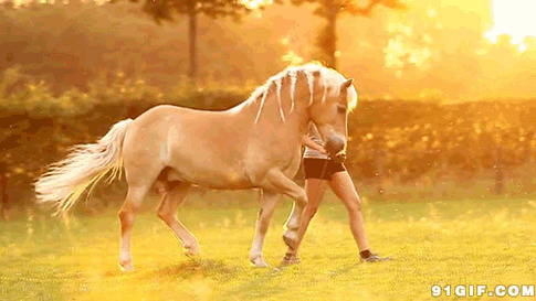 牵着马的女子动态图片