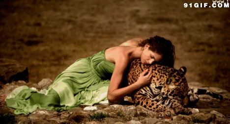 美女趴在豹子身上图片