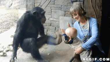 动物园的大猩猩吓小孩图片