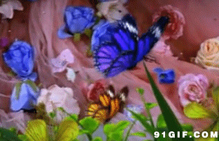两只卡通蝴蝶飞在花丛中图片:蝴蝶