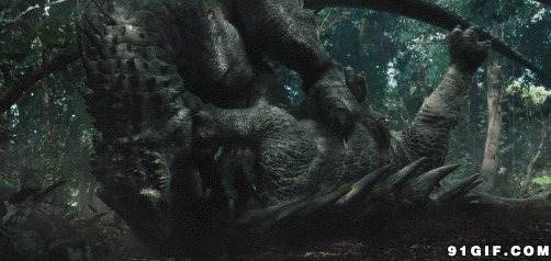 恐龙打架图片:,恐龙