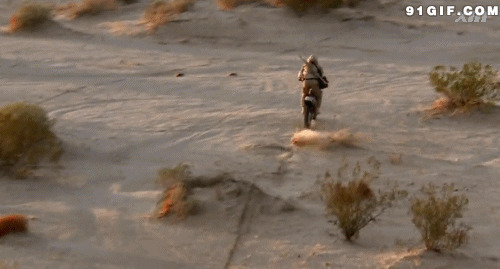 沙漠越野摩托视频图片