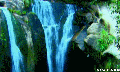 溪水瀑布视频动态图片:瀑布,小溪