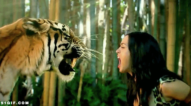老虎与女人视频图片:老虎