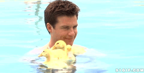 男子和小黄鸭游泳图片:鸭子,游泳