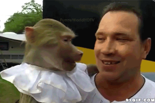 宠物猴子搞笑视频图片:猴子