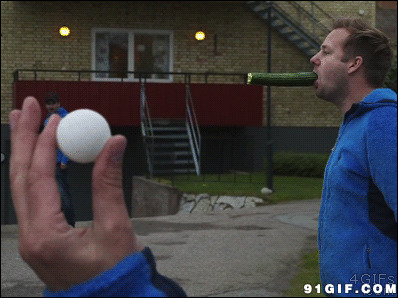 乒乓球砸黄瓜视频图片:乒乓球,黄瓜
