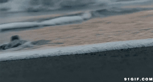 小海龟爬回大海动态图片