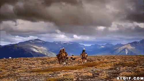 青藏高原的牧马人图片:高原,骑马