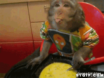 猴子吃早餐视频图片