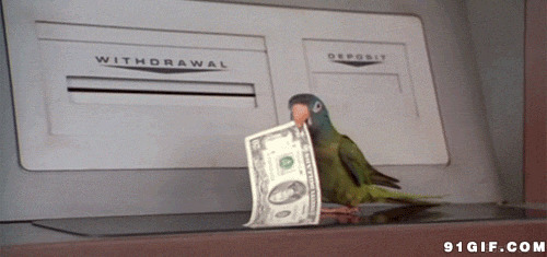鹦鹉取钱搞笑图片