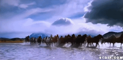 马群淌过河流高清图片