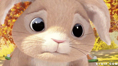 超萌可爱卡通小白兔图片:小白兔,卡通,猫猫,兔子