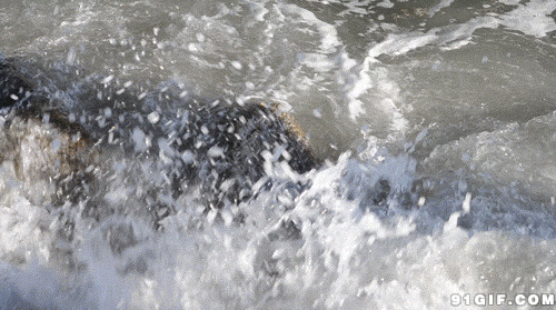 海浪冲刷岩石动态图片:海浪