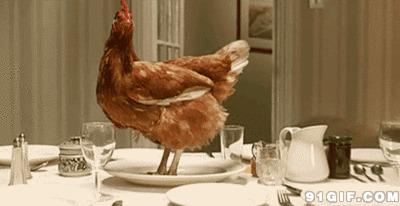 餐桌上复活的母鸡搞笑图片