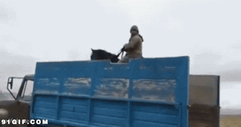 骑马上车搞笑视频图片:骑马,上车