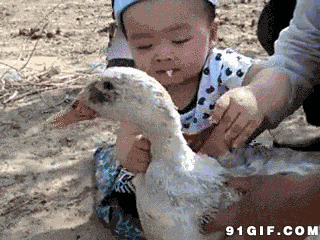 小孩子咬鸭子视频图片