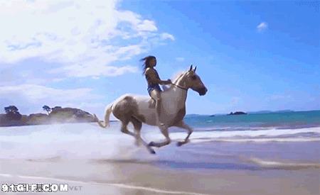 骑马海边飞奔动态图片:骑马,大海,海边