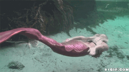 海底畅游美人鱼动态图片