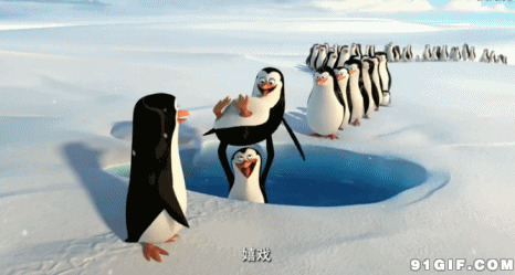 卡通小企鹅快乐嬉戏图片:企鹅,快乐